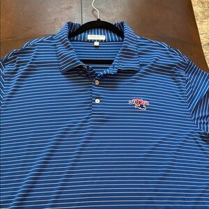 Blue Striped Polo Shirt